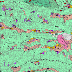 Statistiche Visualizzatore Cartografico