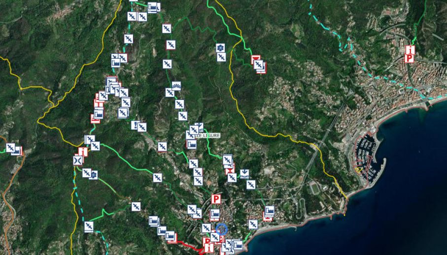 REL - D.G.R. 22/2025