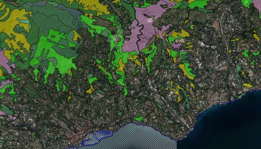 Aggiornamento Tipi Forestali – ed. 2025